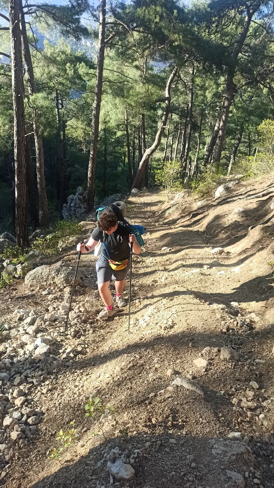 Yura with a large backpack climbing a rocky path between pines