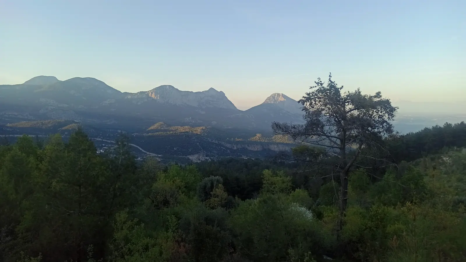 Jagged mountain ridges under a pale evening sky above a forested valley