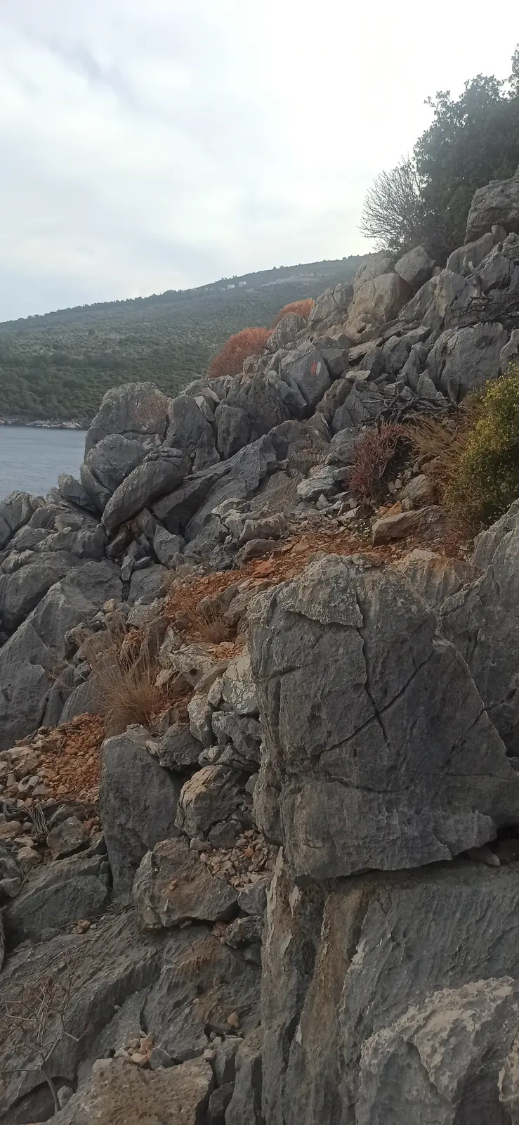 Grey rocks and scrub on a steep slope above the sea