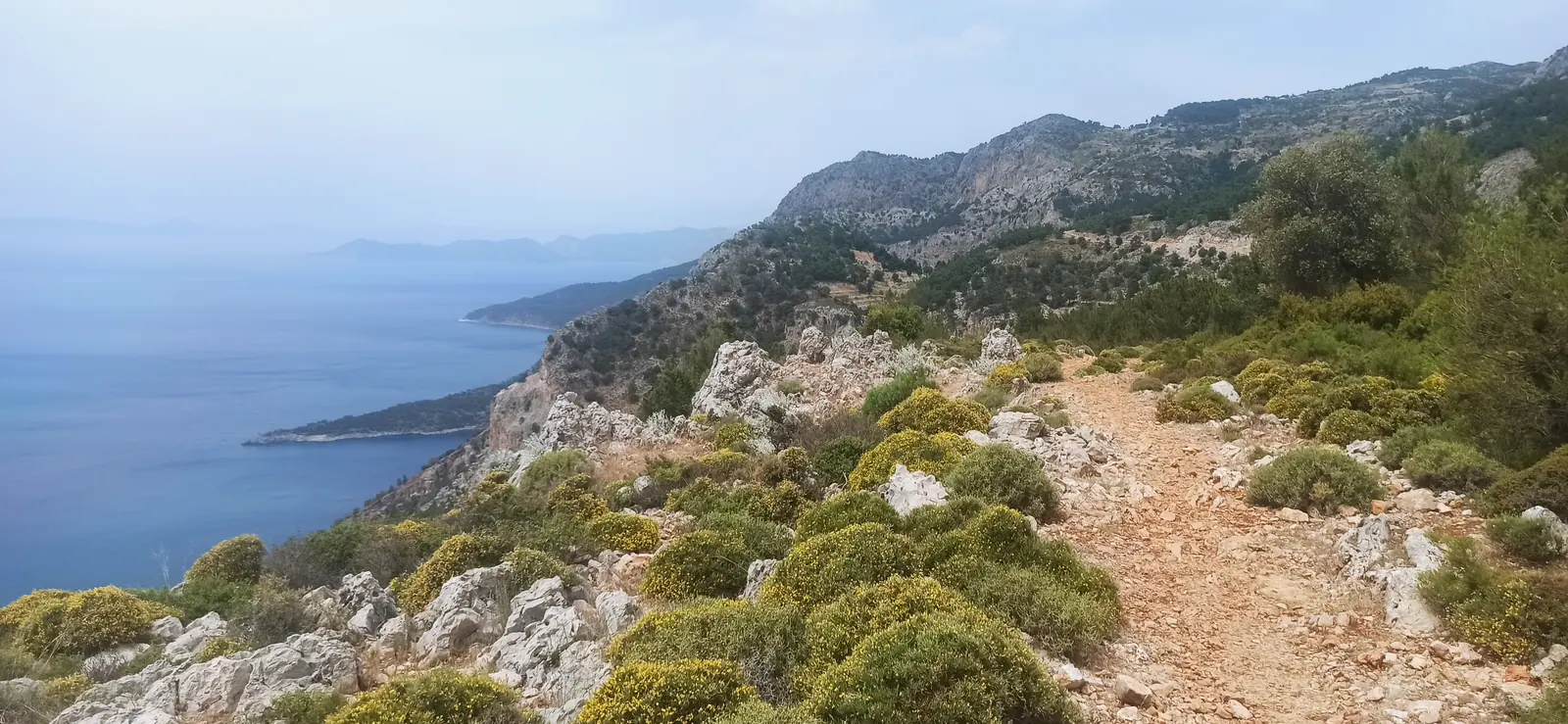 A path along a high scrubby headland above a blue sea