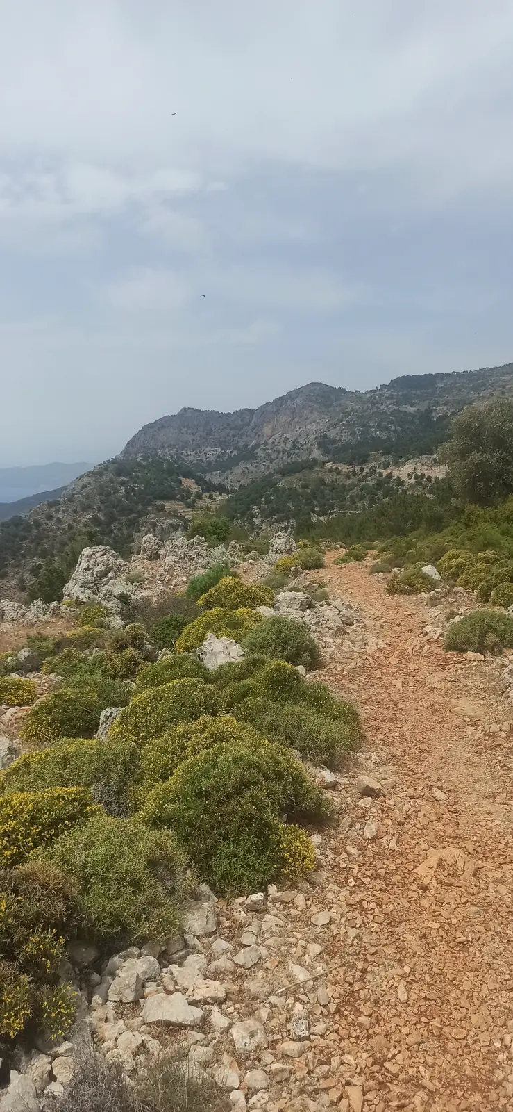 A red earth path winding along a scrubby slope above the sea