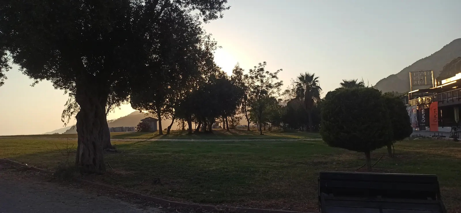 Trees and lawn in evening sunlight at the edge of a resort town
