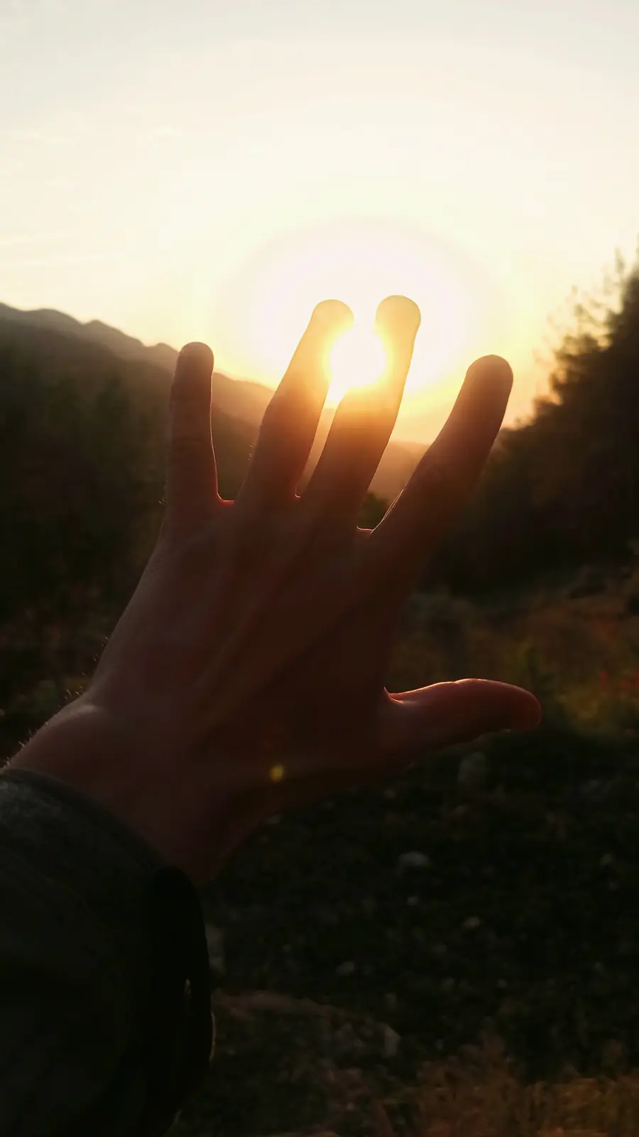 A hand held up against the rising sun