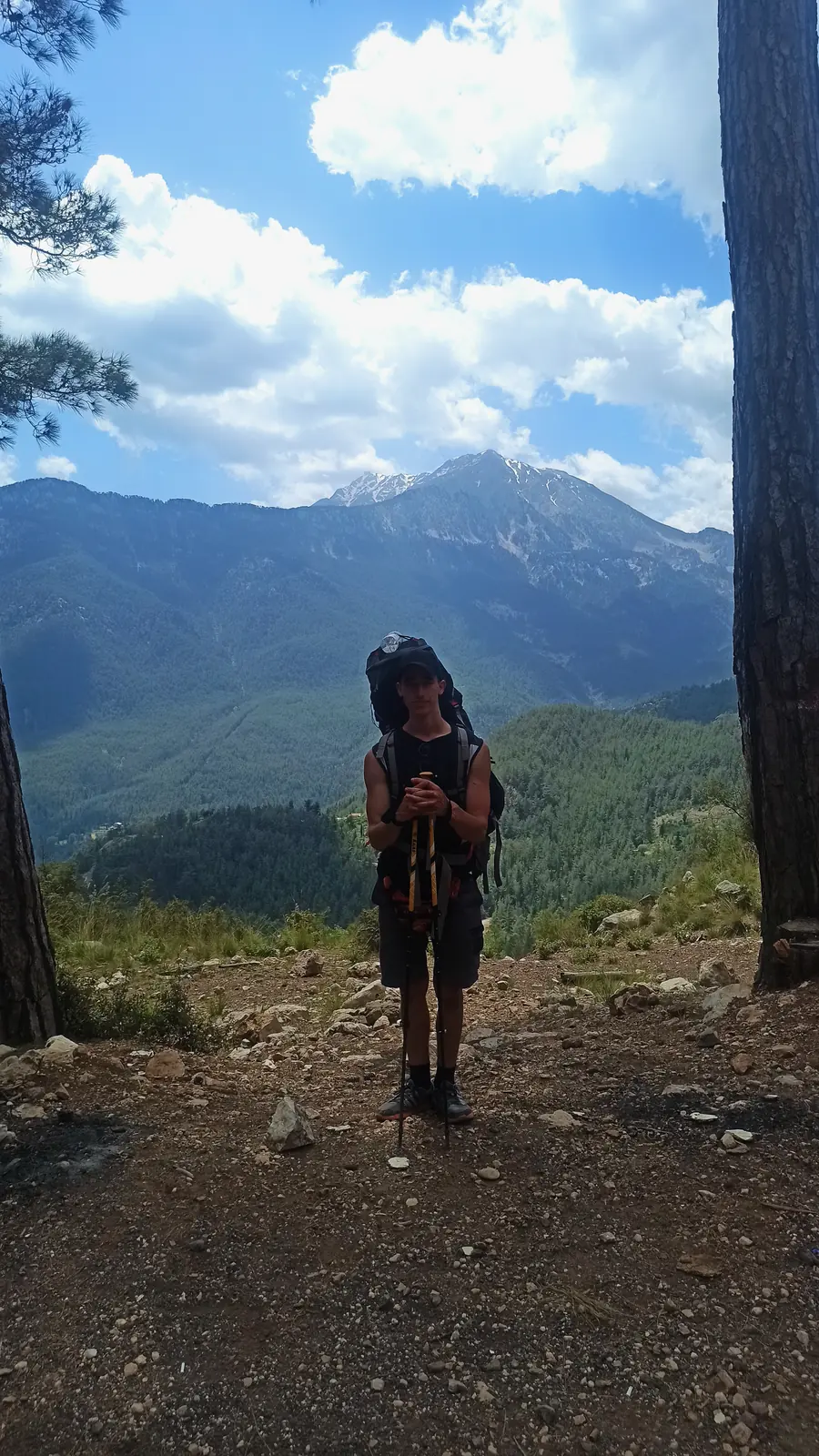 A hiker standing between pines with a pointed mountain behind