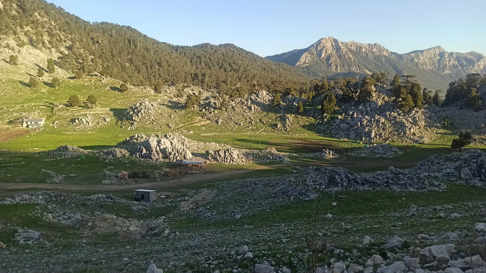 A high grassy plateau scattered with limestone, mountains behind