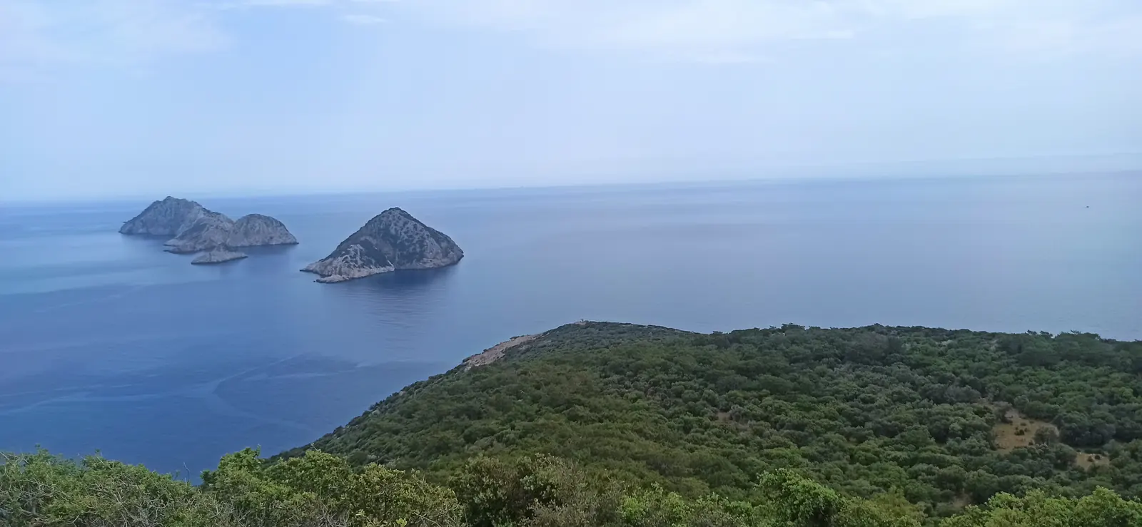 Rocky islands off a green headland in a calm blue sea