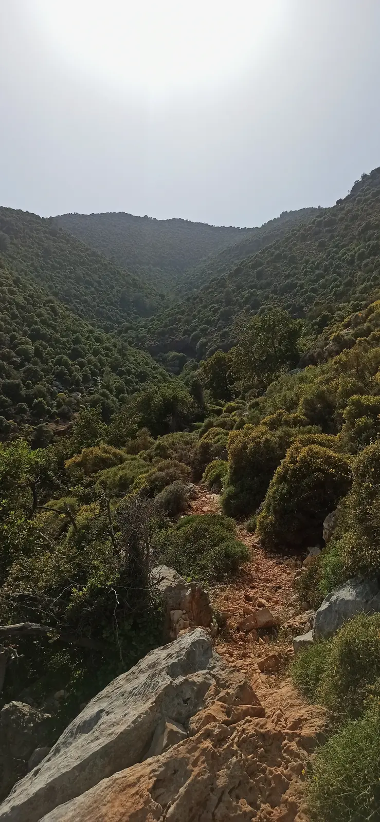 A narrow path dropping into a green valley under a hazy sky