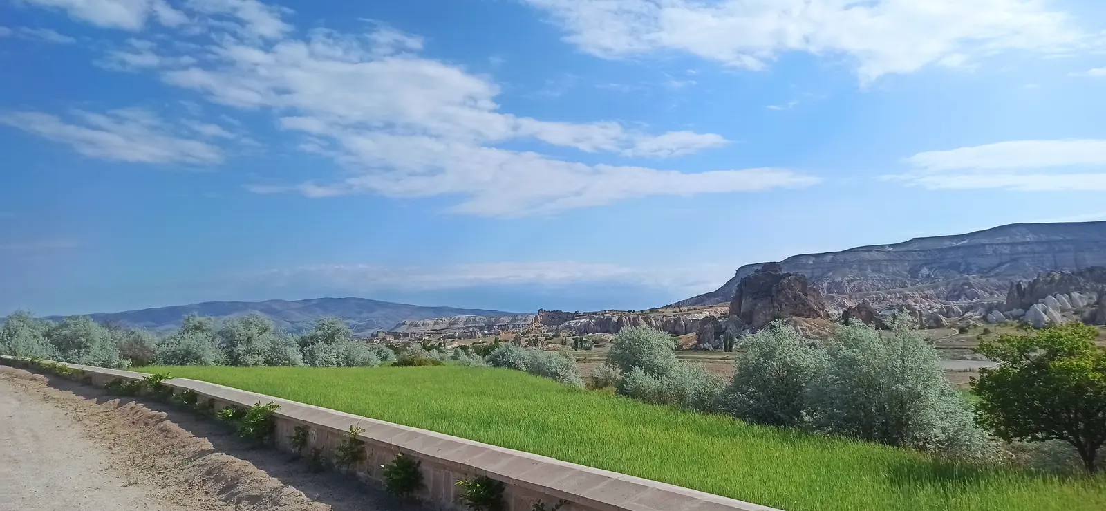 A roadside with a green field and rock formations under a blue sky