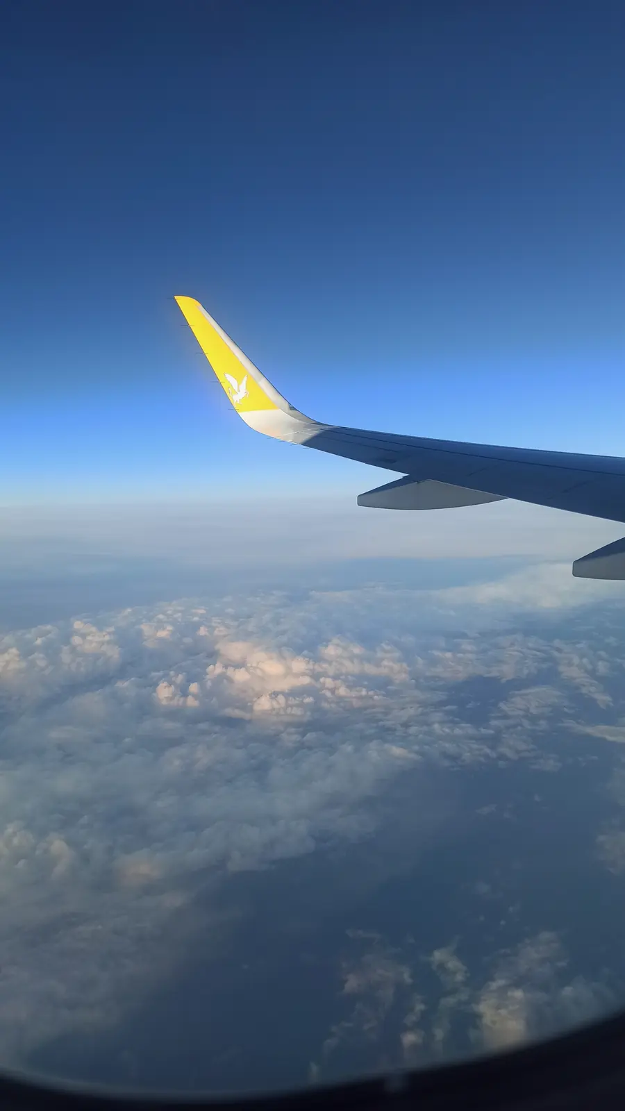 An aeroplane wing with a yellow winglet above a layer of clouds